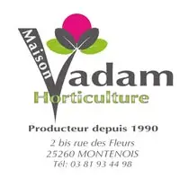 Vadam horticulture